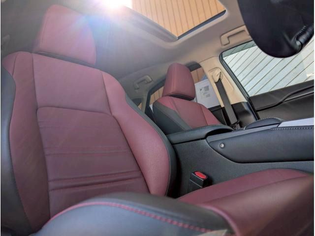 TOYOTA LEXUS NX300H 2018 Image 31