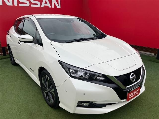 NISSAN LEAF 2019 Image 31