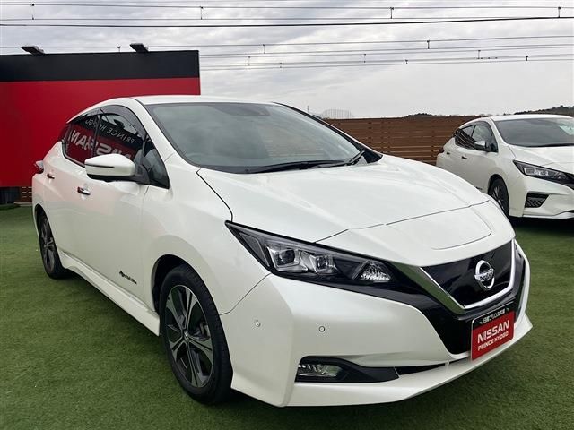 NISSAN LEAF 2019 Image 31