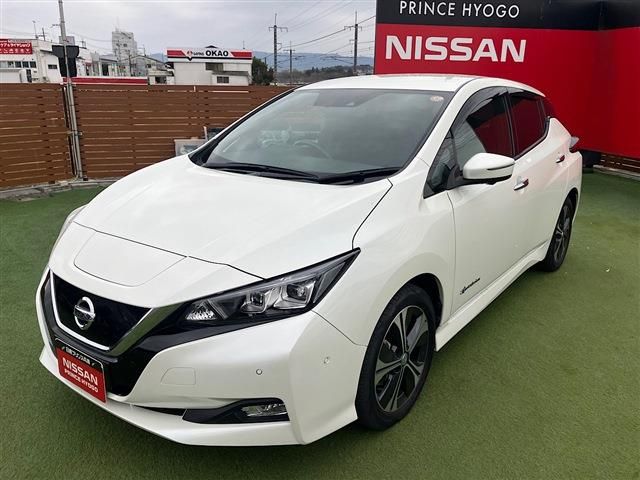 NISSAN LEAF 2019 Image 31