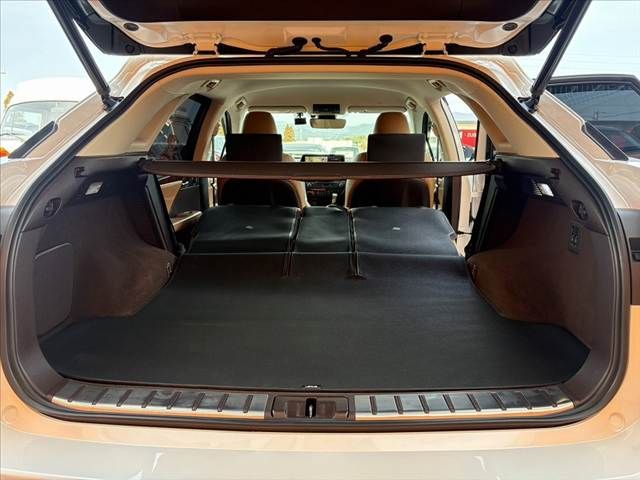 TOYOTA LEXUS RX450H AWD 2019 Image 31