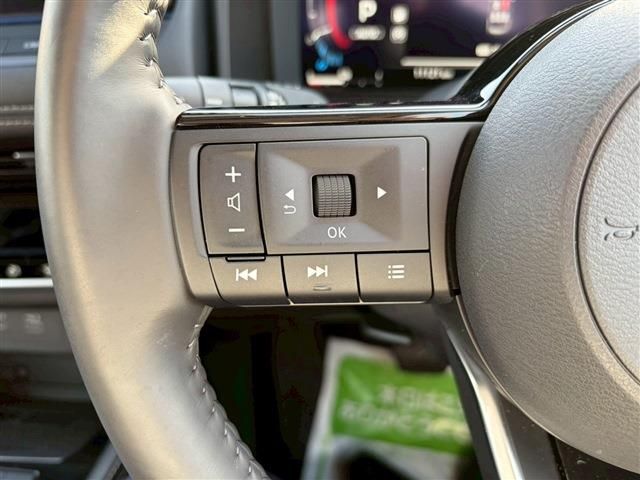 NISSAN X-TRAIL HYBRID 4WD 2025 Image 31