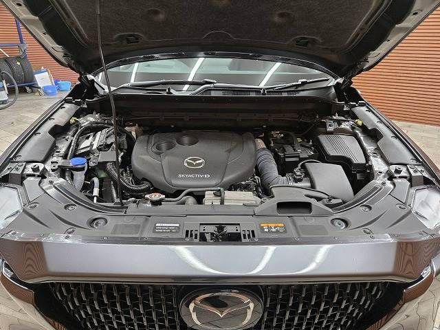 MAZDA CX-8 2024 Image 31