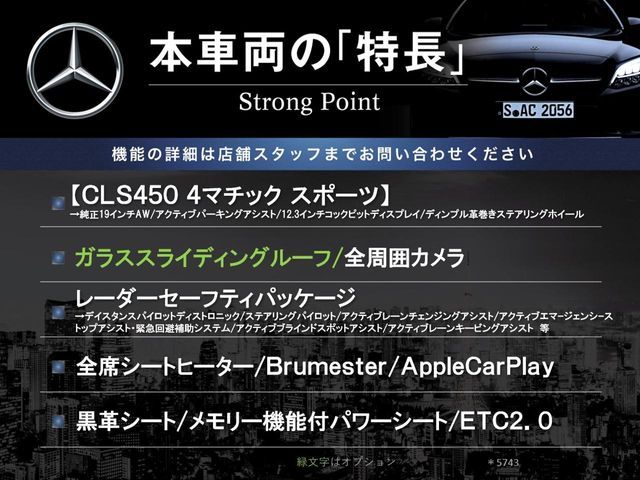 MERCEDES BENZ CLS CL 2019 Image 31