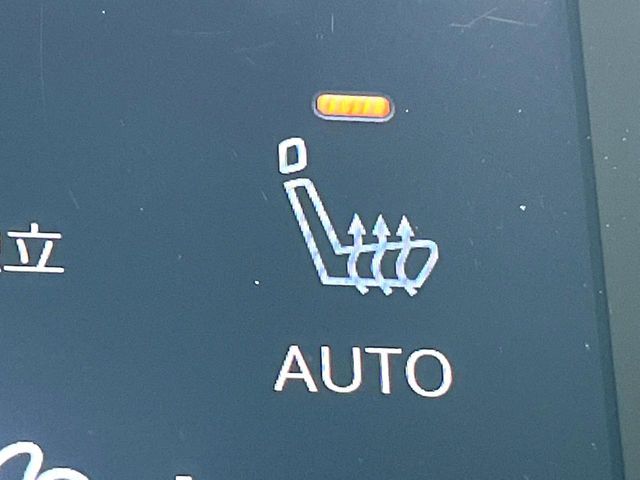 NISSAN SKYLINE 2020 Image 31