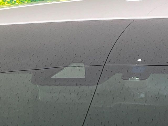 TOYOTA ALPHARD 2019 Image 31