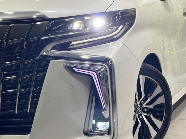 TOYOTA ALPHARD 2019 Image 31