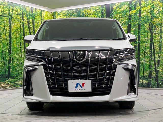 TOYOTA ALPHARD 2019 Image 31