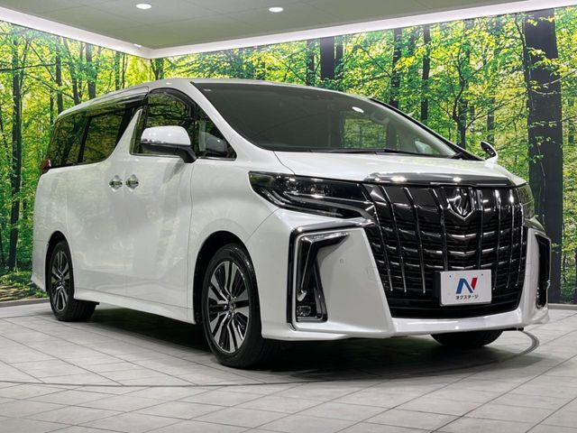 TOYOTA ALPHARD 2019 Image 31