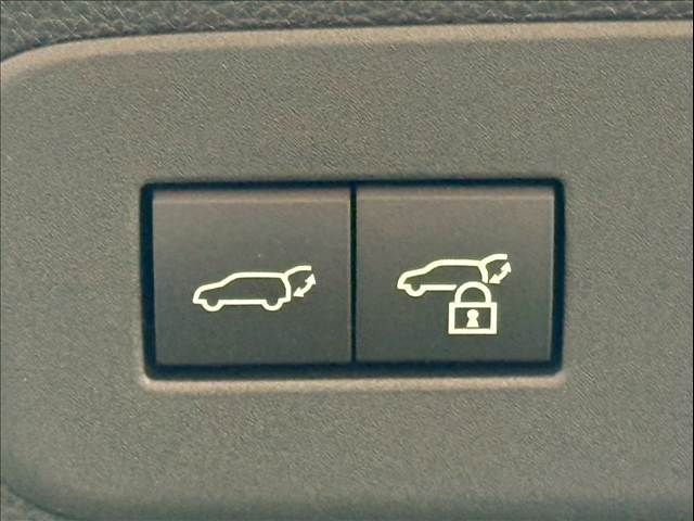 TOYOTA LANDCRUISER 250 2024 Image 31