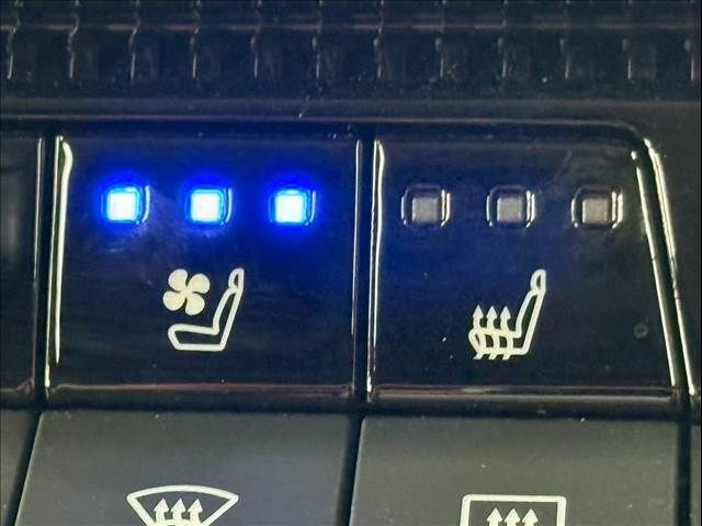 TOYOTA LANDCRUISER 250 2024 Image 31