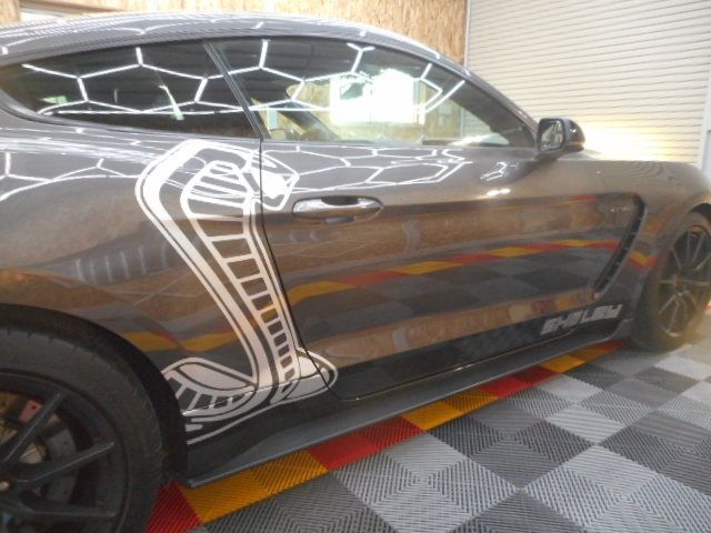 FORD MUSTANG 0 Image 31