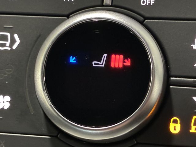 ROVER DEFENDER 2025 Image 31