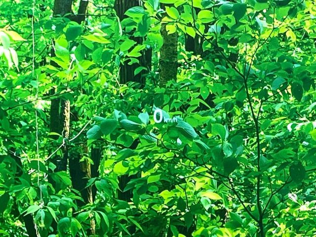 MAZDA CX-5 2018 Image 31