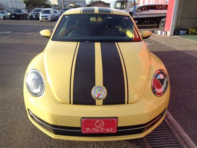 VOLKSWAGEN THE BEETL 2015 Image 31