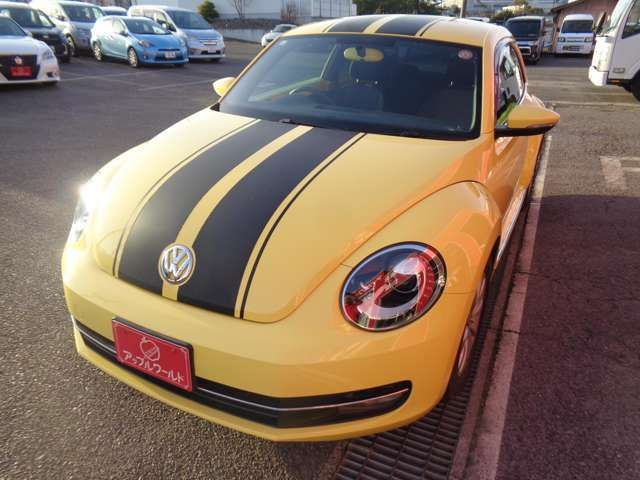 VOLKSWAGEN THE BEETL 2015 Image 31