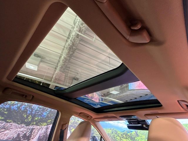 TOYOTA LEXUS NX250 2024 Image 31