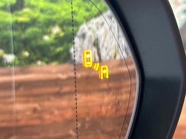 TOYOTA LEXUS NX250 2024 Image 31