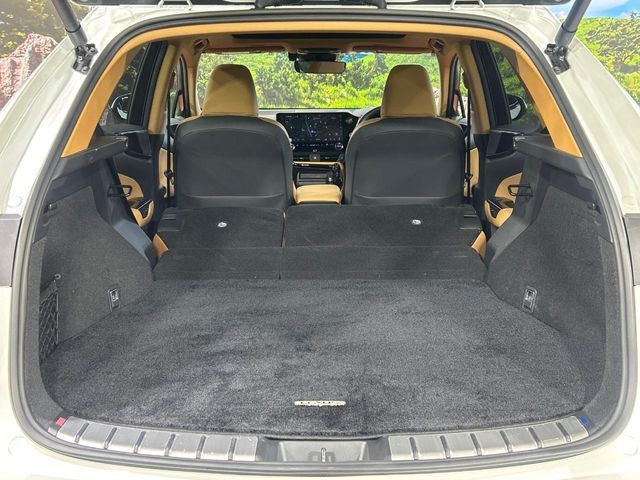 TOYOTA LEXUS NX250 2024 Image 31
