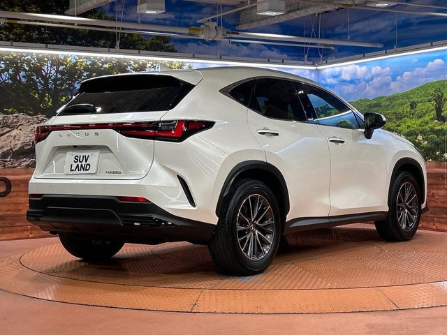 TOYOTA LEXUS NX250 2024 Image 31
