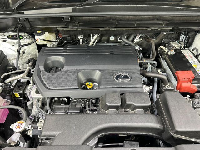 TOYOTA LEXUS NX250 2024 Image 31