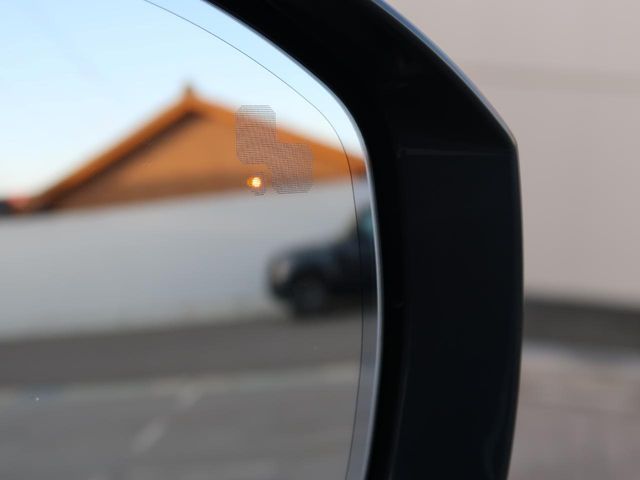 ROVER DISCOVERY 2025 Image 31