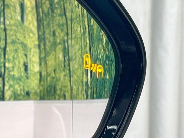 TOYOTA PRIUS PHV 2019 Image 31