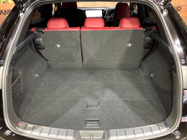 TOYOTA LEXUS NX350H 2023 Image 31