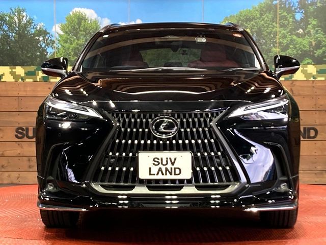 TOYOTA LEXUS NX350H 2023 Image 31