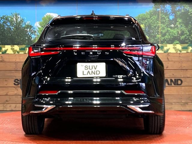 TOYOTA LEXUS NX350H 2023 Image 31