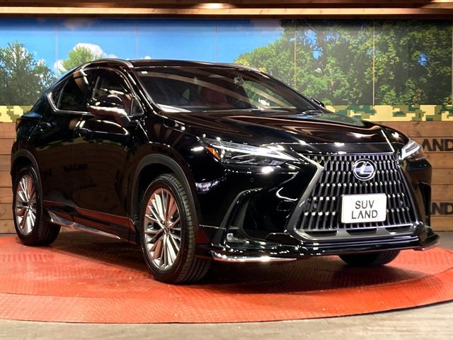 TOYOTA LEXUS NX350H 2023 Image 31