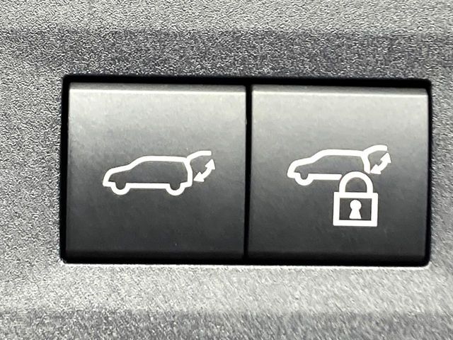 TOYOTA LEXUS NX250 2023 Image 31