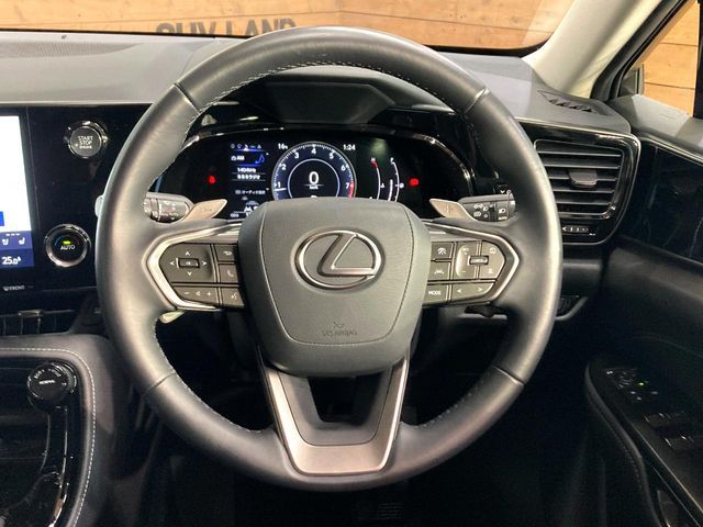 TOYOTA LEXUS NX250 2023 Image 31