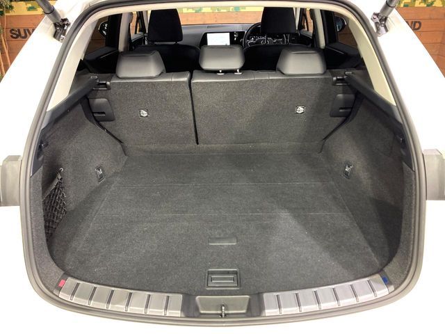 TOYOTA LEXUS NX250 2023 Image 31