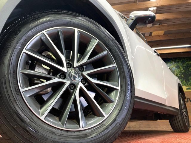 TOYOTA LEXUS NX250 2023 Image 31