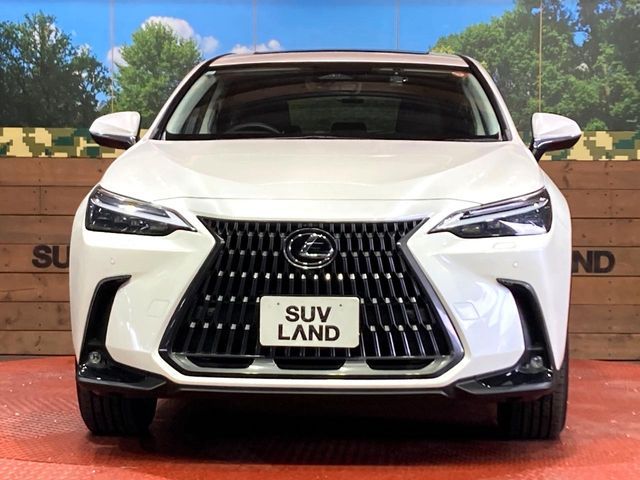 TOYOTA LEXUS NX250 2023 Image 31