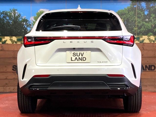 TOYOTA LEXUS NX250 2023 Image 31