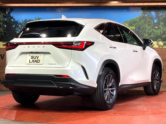 TOYOTA LEXUS NX250 2023 Image 31