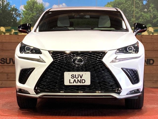 TOYOTA LEXUS NX300 2018 Image 31