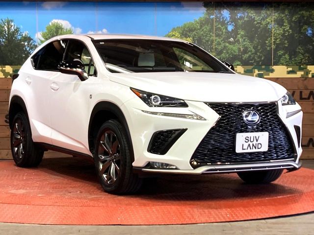 TOYOTA LEXUS NX300 2018 Image 31