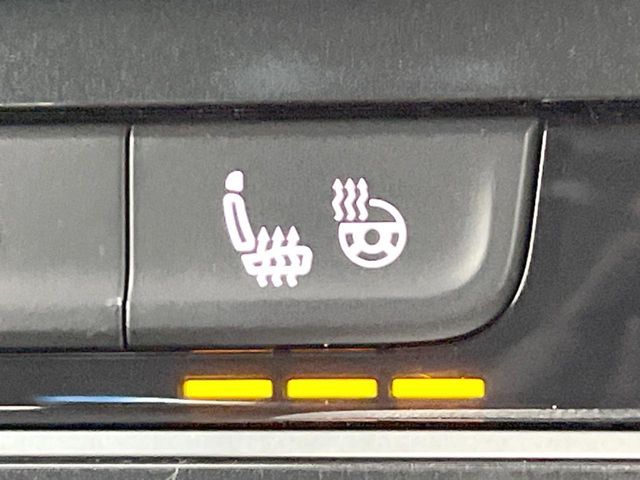 VOLKSWAGEN GOLF ALLT 2017 Image 31