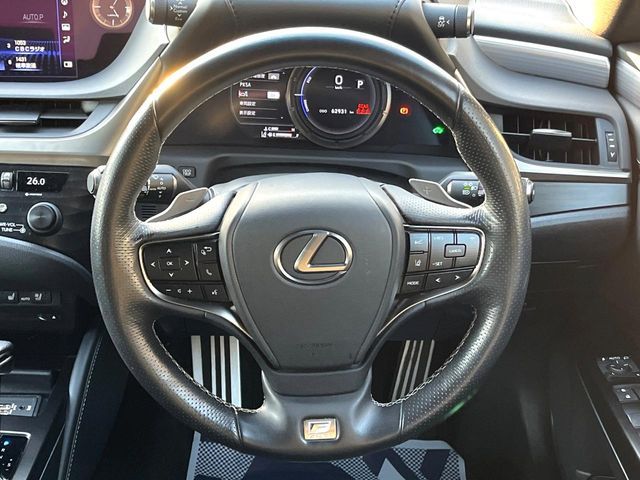 TOYOTA LEXUS ES300H 2020 Image 31