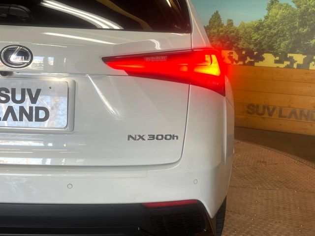 TOYOTA LEXUS NX300H AWD 2019 Image 31