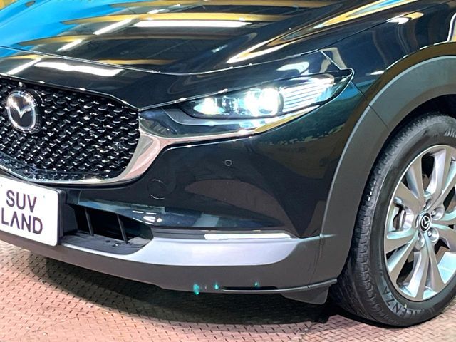 MAZDA CX-30 2022 Image 31