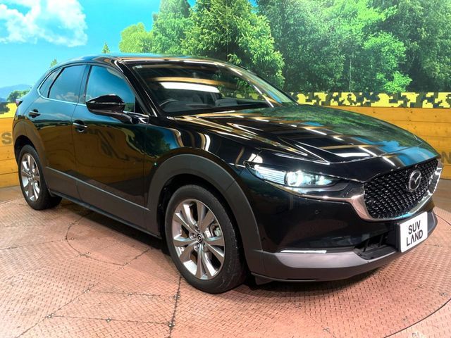 MAZDA CX-30 2022 Image 31