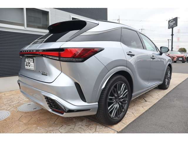 TOYOTA LEXUS RX500H 2024 Image 31