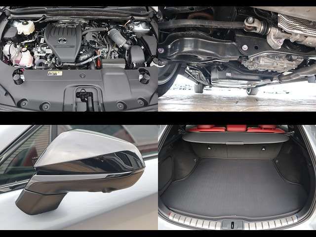 TOYOTA LEXUS RX500H 2024 Image 31