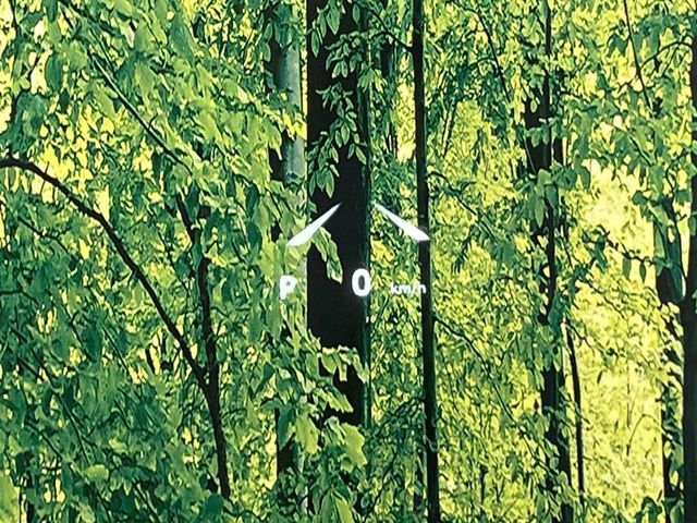 TOYOTA RAV4 HYBRID 4WD 2026 Image 31