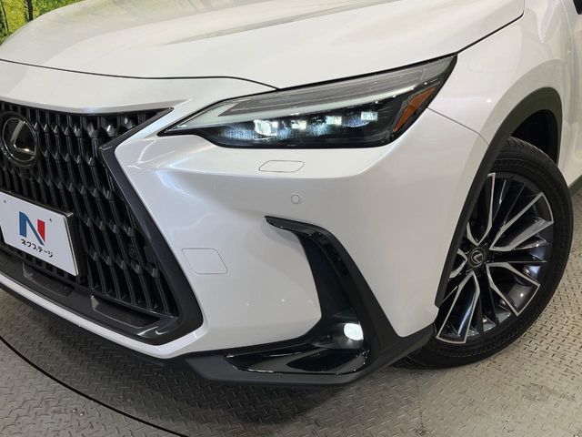 TOYOTA LEXUS NX350H AWD 2023 Image 31