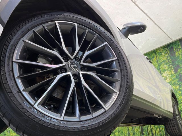 TOYOTA LEXUS NX350H AWD 2023 Image 31